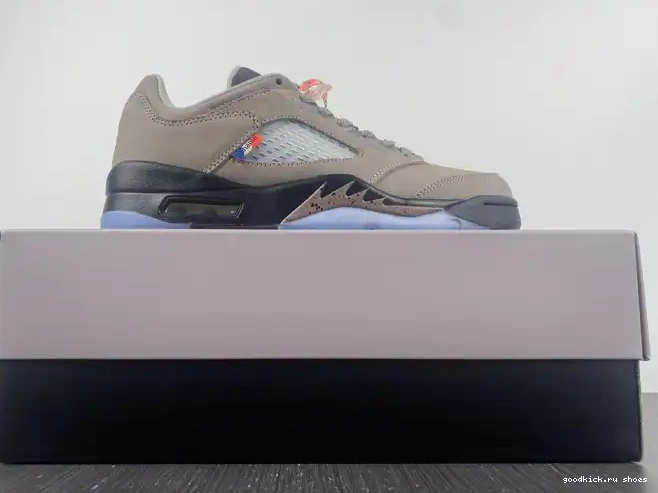 x Air DX6325-204 Low PSG Jordan 5 0528